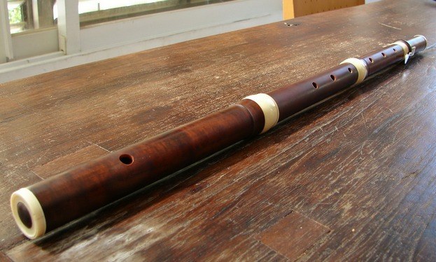 Flute ca instrument muzical