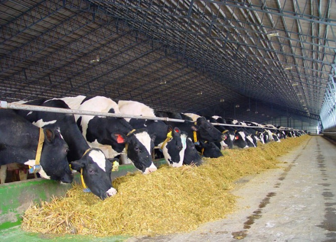 Cum va afecta aderarea la OMC agricultura?