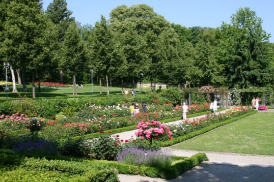 Atracții în Berna: Rose Garden