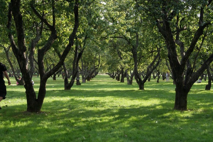 Cum să ajungi în parc 